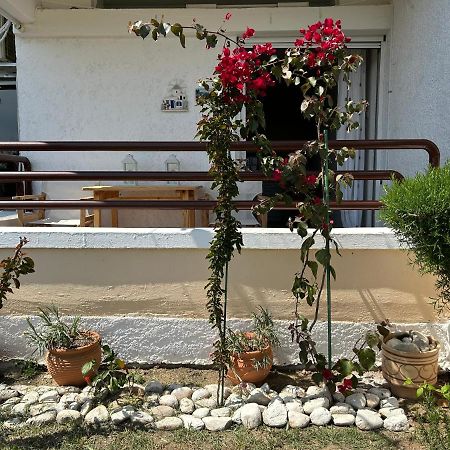 Mari E Monti Apartman PalaiónTsiflíkion Kültér fotó