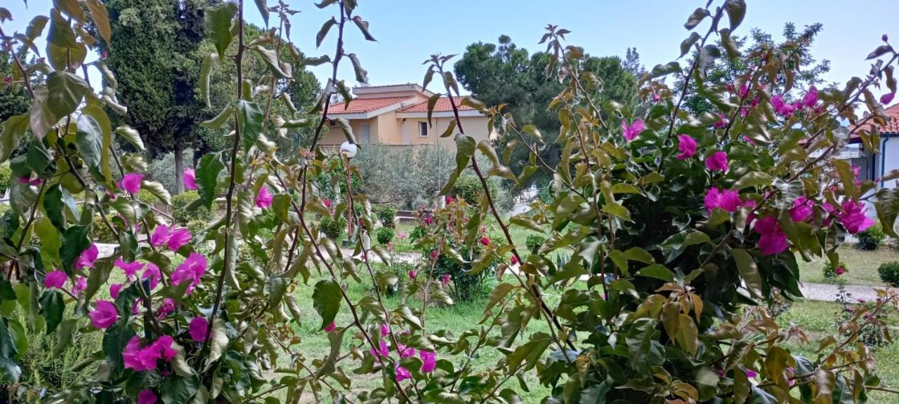 Mari E Monti Apartman PalaiónTsiflíkion Kültér fotó